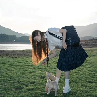 老旦是一棵树